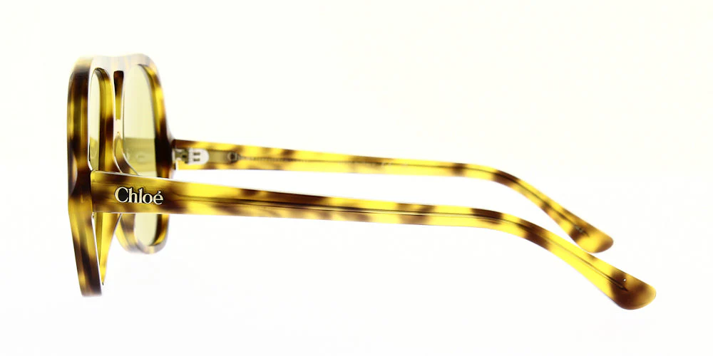 Chloe Sunglasses CH0289S - Image 3