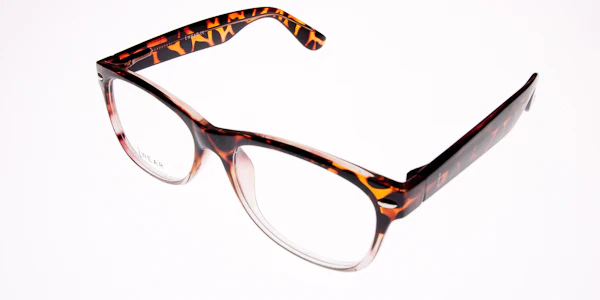 IWEAR 2010