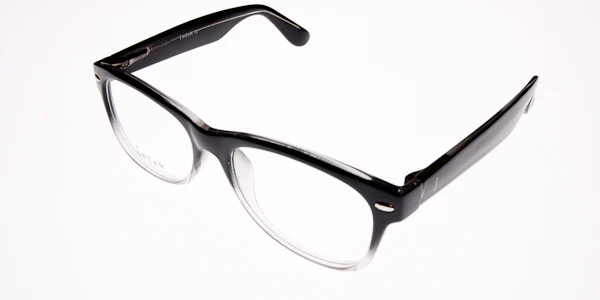 IWEAR 2010 - Image 2