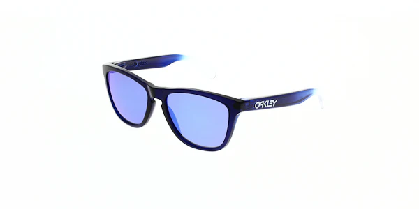 Oakley Frogskins Sunglasses OO9013 - Image 62