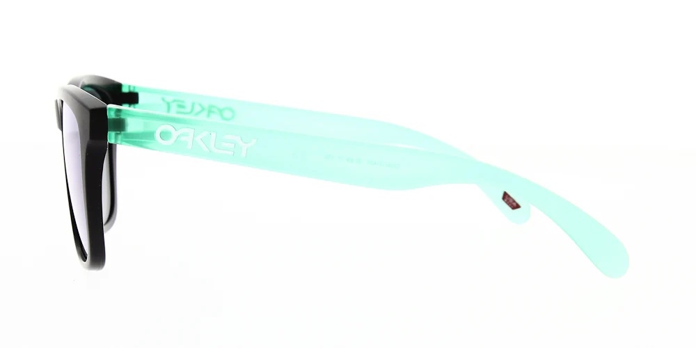 Oakley Frogskins Sunglasses OO9013 - Image 95