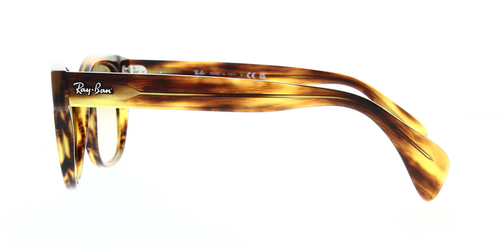 Ray Ban RB0880S - Image 12