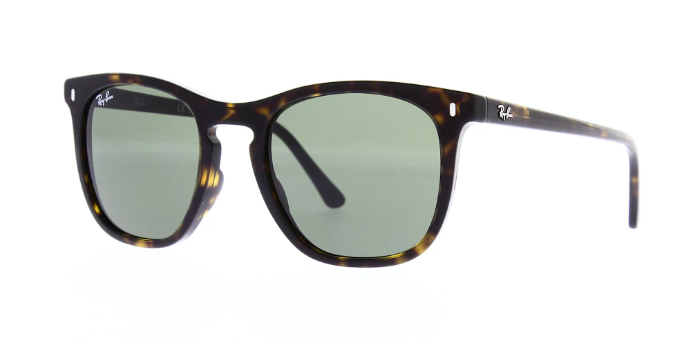 Ray Ban RB2210 - Image 4
