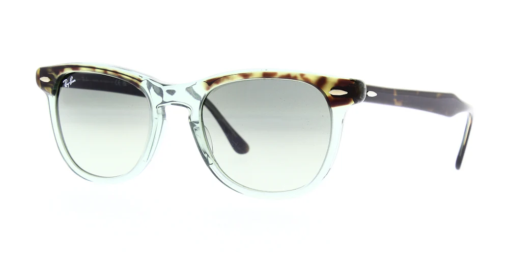 Ray Ban RB2398 - Image 7