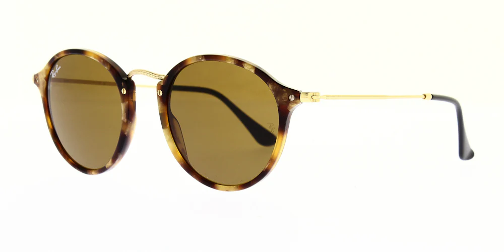 Ray Ban Round Sunglasses RB2447 - Image 4