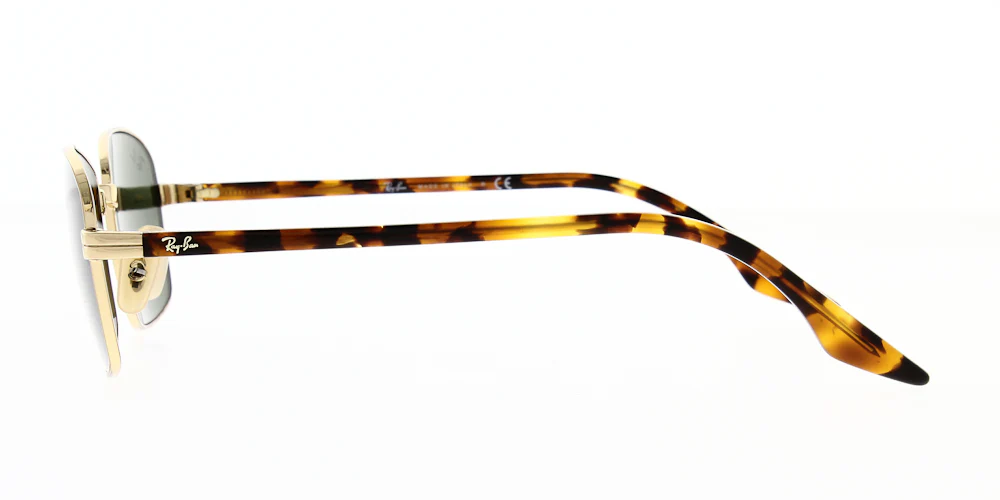 Ray Ban RB3690 - Image 9