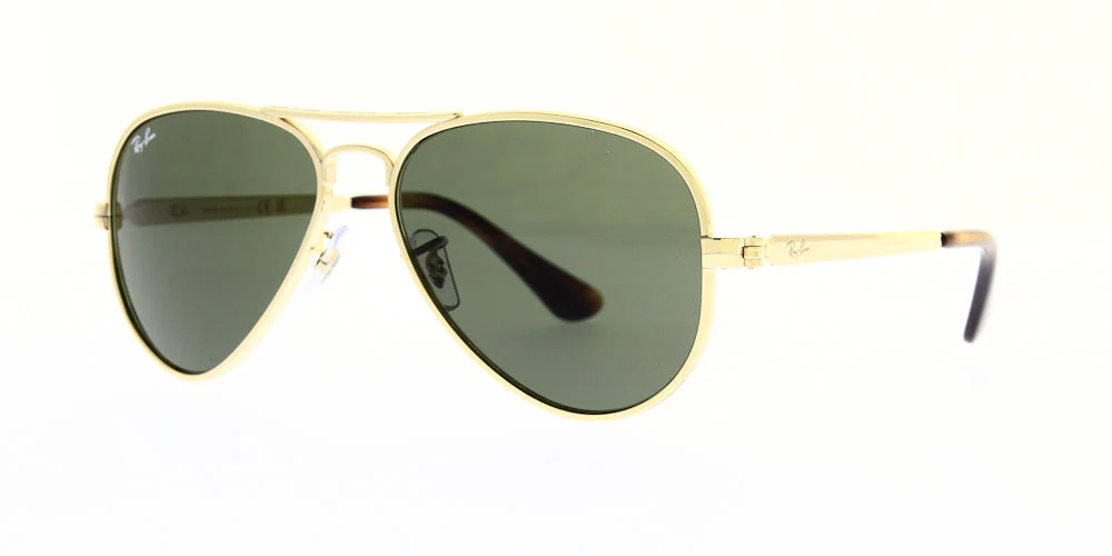 Ray Ban Aviator Max Sunglasses RB3925