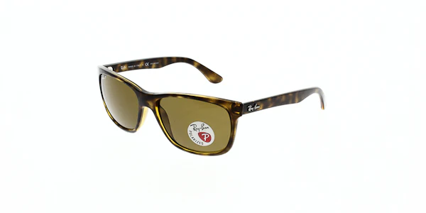 Ray Ban RB4181 - Image 5