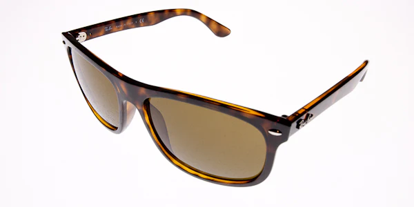 Ray Ban RB4226 - Image 4
