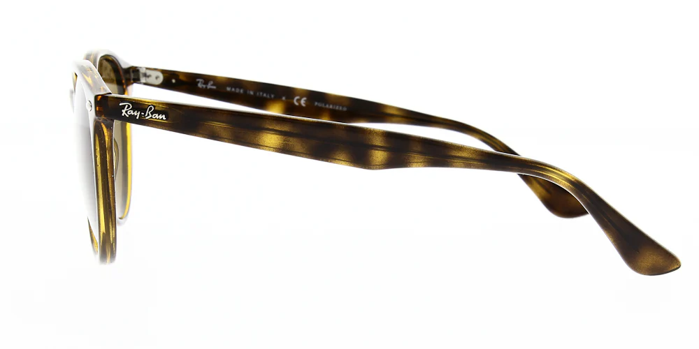Ray Ban Sunglasses RB4305 - Image 9