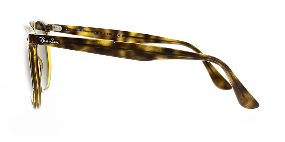 Ray Ban RB4306 - Image 6