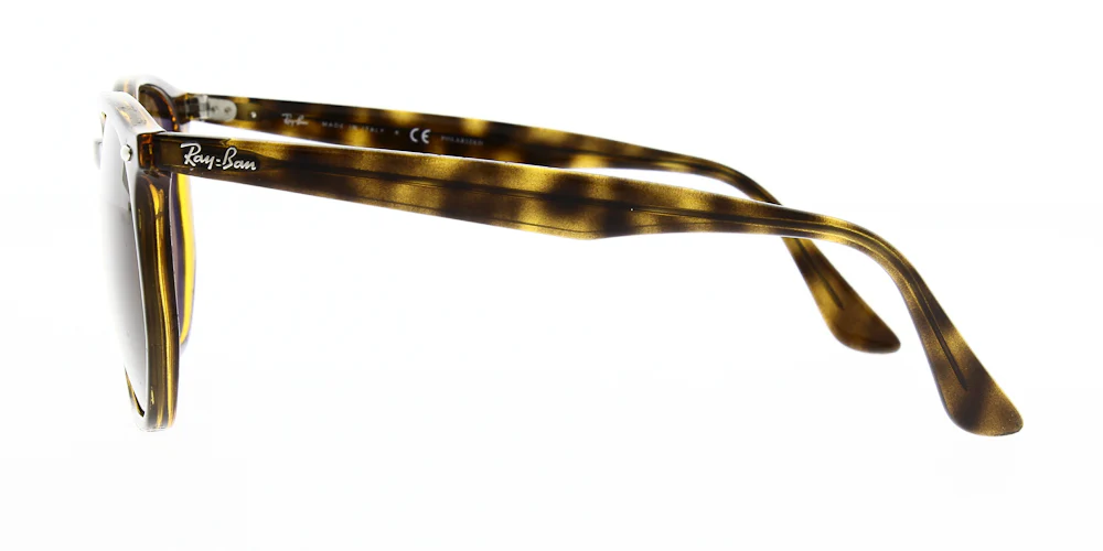 Ray Ban RB4306 - Image 9