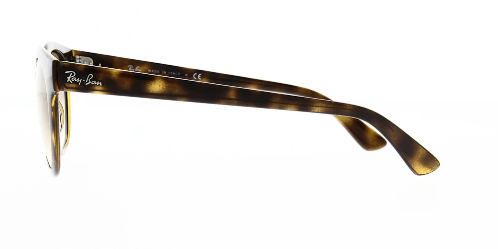 Ray Ban RB4324 - Image 6