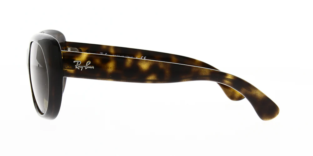 Ray Ban RB4325 - Image 9
