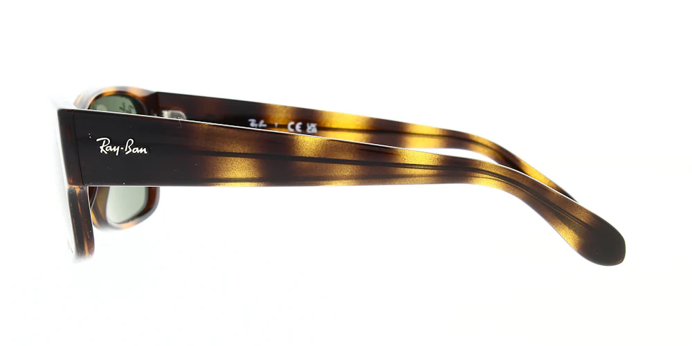 Ray Ban RB4388 - Image 3