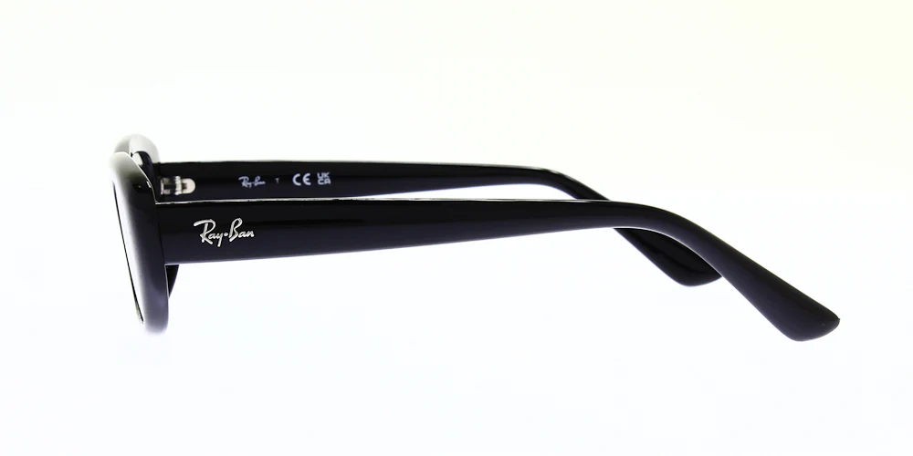 Ray Ban RB4436D - Image 6