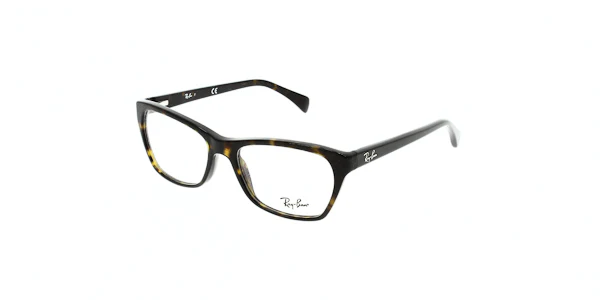 Ray Ban RX5298