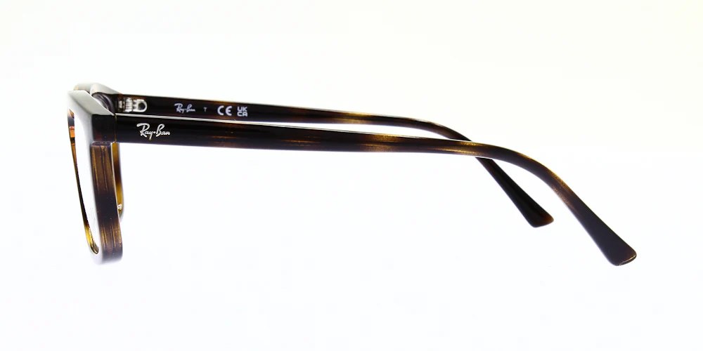 Ray Ban Alain Glasses RX7239 - Image 8