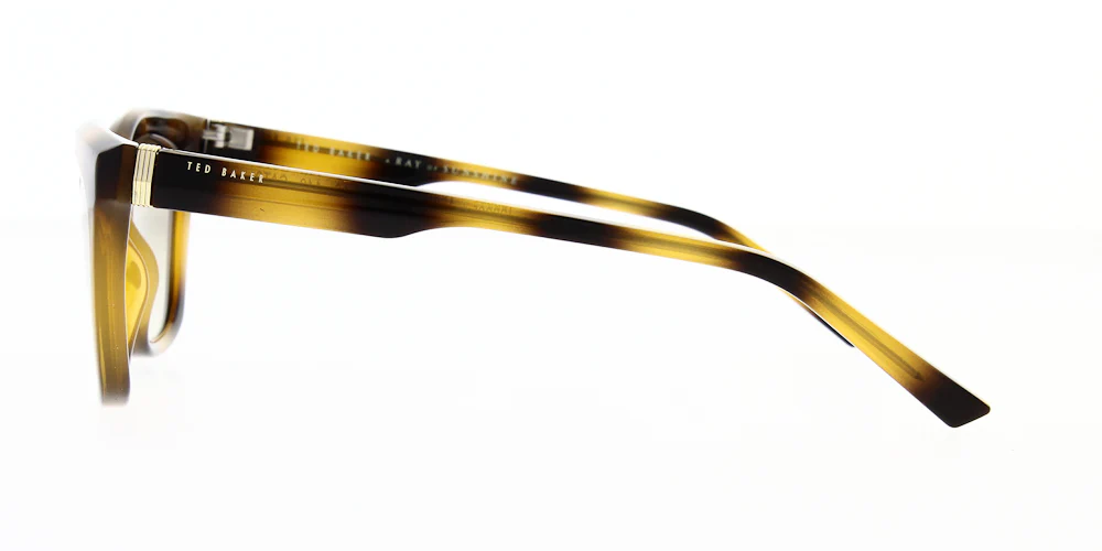 Ted Baker Tanner Sunglasses TB1639 - Image 3