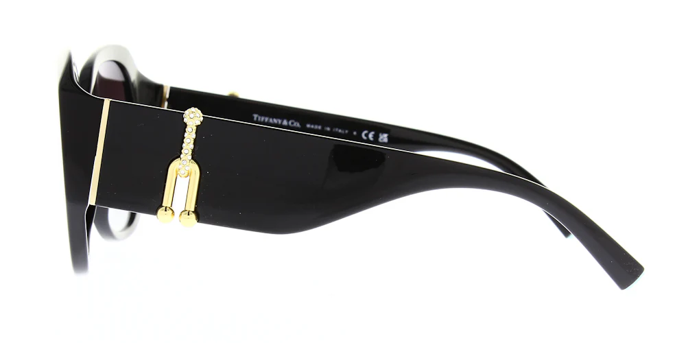 Tiffany & Co TF4207B - Image 3